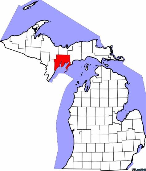 Image of the upper and lower peninsula of Michigan with counties outlined and a red highlight on Delta county.